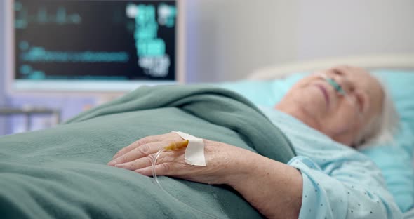 Close Up of Child Holding Hand of Sick Aged Grandmother Lying in Hospital Bed