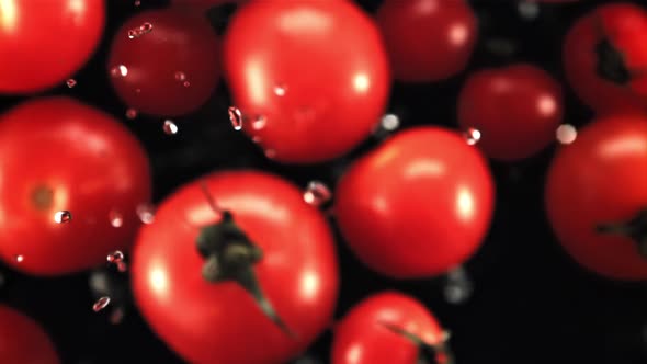 Fresh Tomatoes with Drops of Water Fly Up and Fall Down