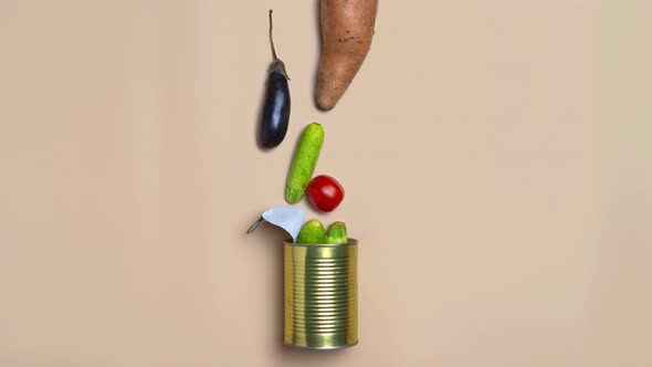 Vegetables in a Tin Can Conservation Concept