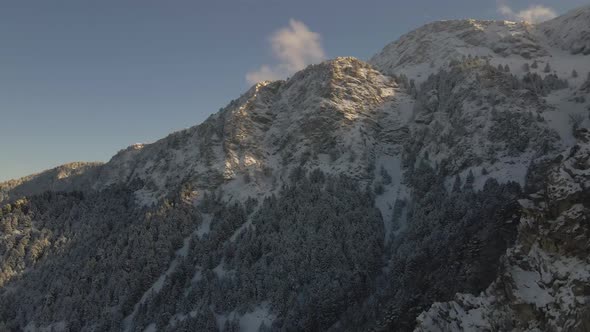 winter snow mountains with trees