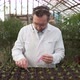 Scientist Takes the Soil for Seedlings for Analysis with Stick and Puts It in Test Tube with Liquid - VideoHive Item for Sale
