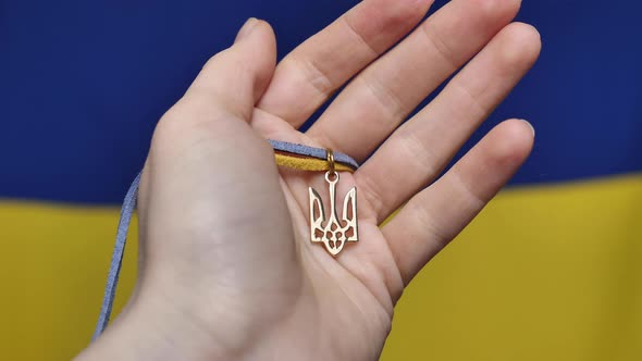 Ukrainian state emblem in hand of the flag