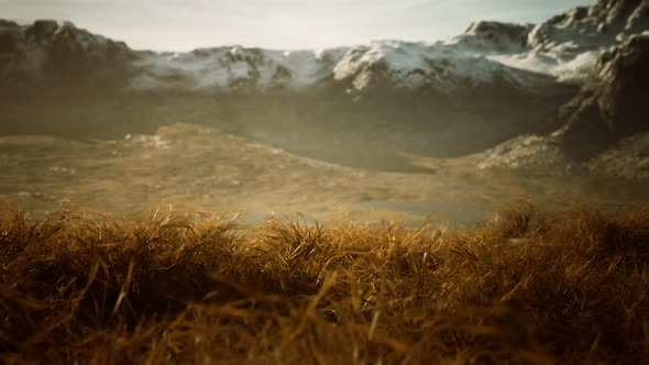 Dry Grass and Snow Covered Mountains in Alaska