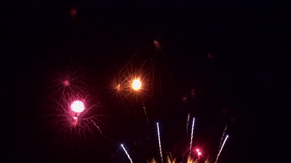 Colorful Firework display at night on sky background
