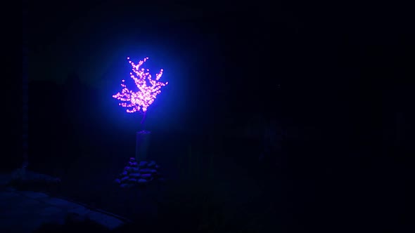 Decorative Tree with Fluorescent Lighting at Night