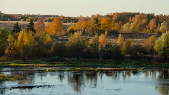 Tree and river