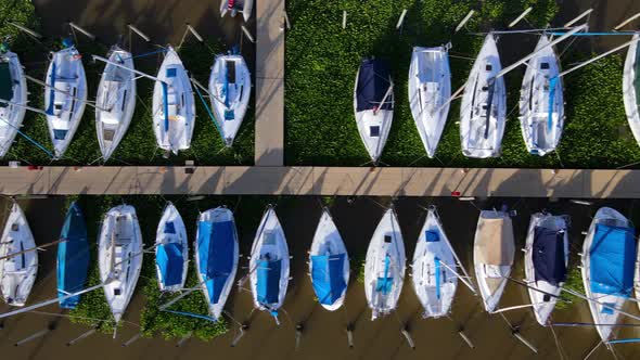 Aerial dolly right of yachts docked inline in Olivos Port with aquatic perennial plants around them,