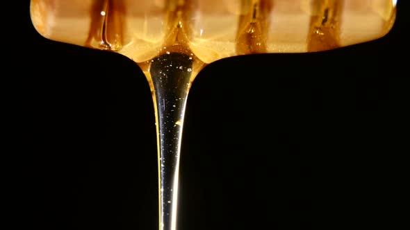 Honey Dripping and Flowing Down, One Drop, on Black, Close Up