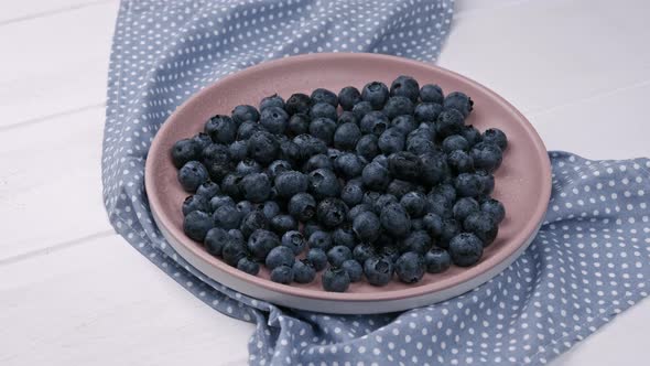 The Blueberry Fresh Berries on the Ceramic Plate on the White Background