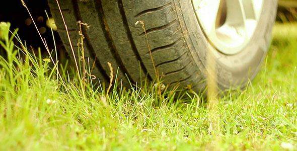Car On Green Grass 3 alt