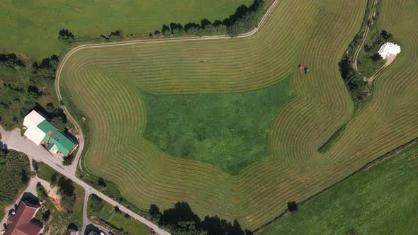 Top View Of Windrowed Grass Mown By A Tractor For Silage At The Farm In Rogaland, Norway. aerial sta