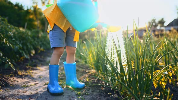 Boy Child Walks in Rubber Boots and Raincoat on Summer in Village in Summer Under Sun and Helps His