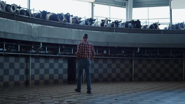 Farmer Examining Work Milking System Watching Carousel in Technological Cowshed