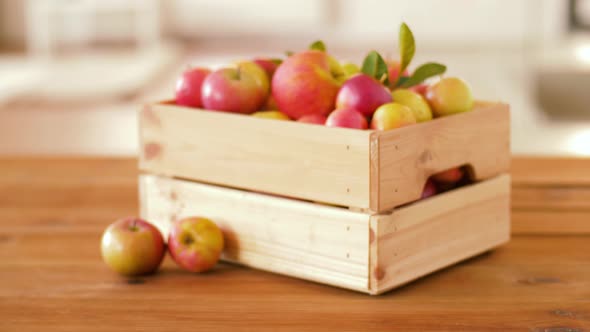 Ripe Apples in Wooden Box on Table 45