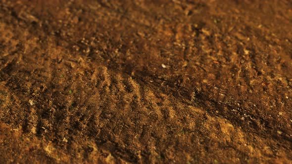 Wheel Tracks on Rough Road