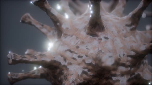 Bacteria Virus or Germs Microorganism Cells Under Microscope with Depth alt