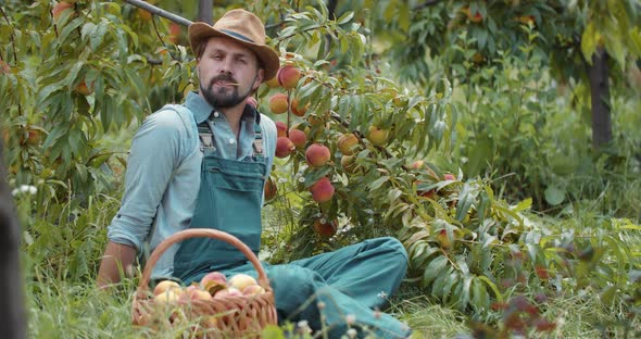 Bearded Man in Hat and Overalls Relaxing at Peach Garden