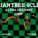 Giant Bee 4 Clip Alpha Loop - VideoHive Item for Sale