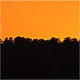 Sunset Behind The Forest - VideoHive Item for Sale