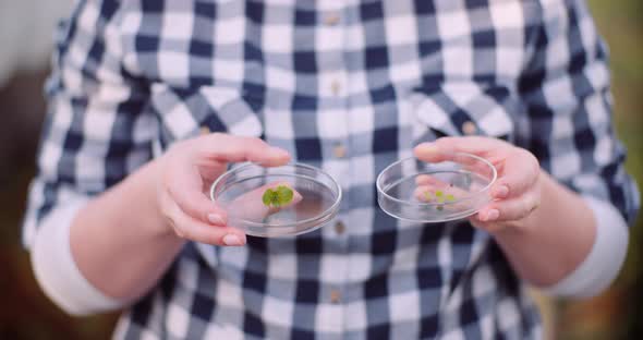 Botanist Holding Plant Samples on Petri Dish.