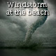 Wind Storm At The Beach
