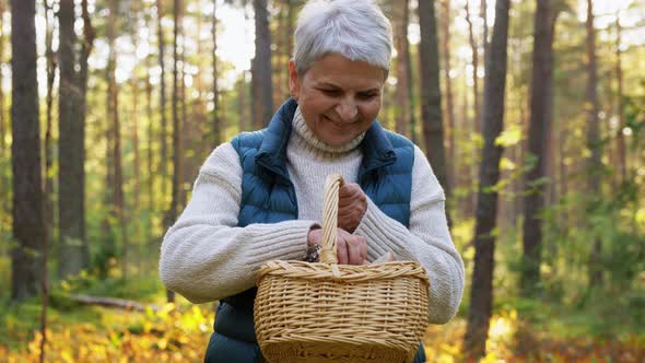 Senior Woman Picking Mushrooms in Autumn Forest