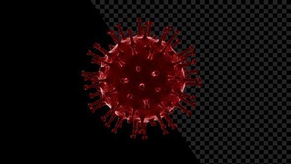 Coronavirus Visualization Covid 19 V10