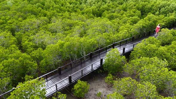 Slow Motion of Girl in Red Dress Walking on Wooden Path Among Mangrove Trees