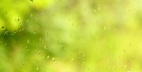 Rain Drops On The Window alt