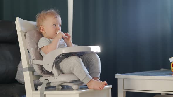 Cute Kid with Food Nibbler Baby Fruit Pacifier Sitting in Booster Seat Fixed on Top of Dining Chair