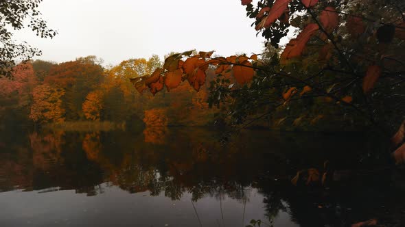 Panning over the small lake of Hjortedam, Lyngby, Copenhagen, Denmark, on a rainy autumn day