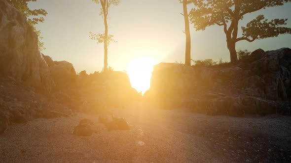 Trees on Rocks in Mountains at Sunset