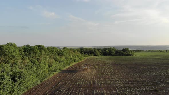 Aerial View of Farming Tractor Spraying on Field with Sprayer Herbicides and Pesticides at Sunset