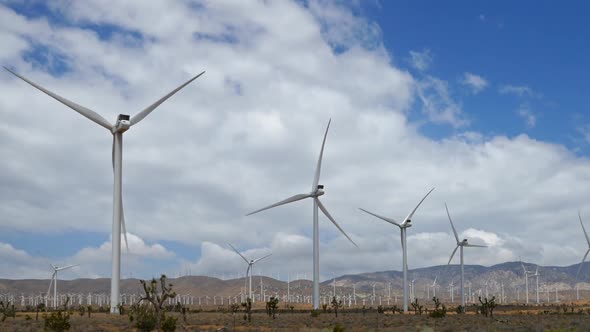 Driving Past A Wind Farm