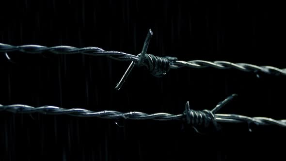 Barbed Wire Dripping In The Rain