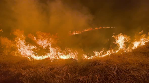 Blazing Fires in a Paddy Field at Night Burning Stubble