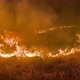 Blazing Fires in a Paddy Field at Night Burning Stubble - VideoHive Item for Sale