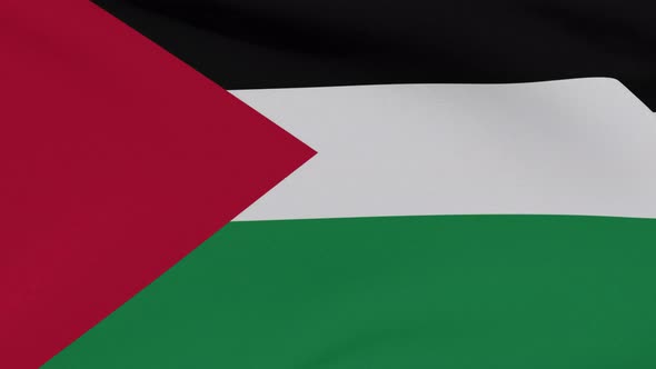 Flag State of Palestine Patriotism National Freedom Seamless Loop