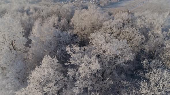 Winter Landscape in Countryside