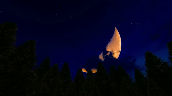 Red Moon At The Forest 2k alt
