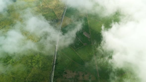 Aerial view beautiful rice paddy field over the white cloud