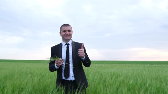 A Farmer or Agronomist Stands in the Middle of Young Wheat in a Field and Looks at the Camera