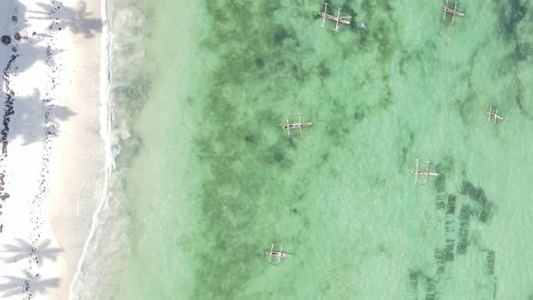 Vertical Video Boats in the Ocean Near the Coast of Zanzibar Tanzania Aerial View