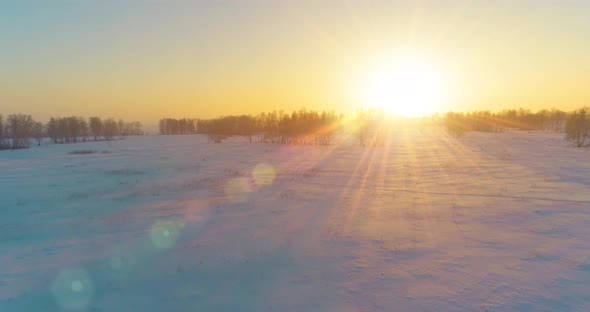 Aerial Drone View of Cold Winter Landscape with Arctic Field, Trees Covered with Frost Snow and