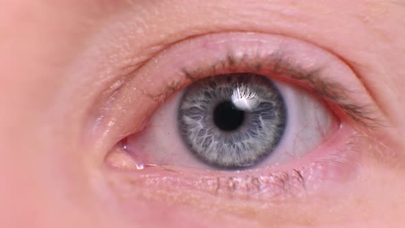 pupil and iris in the eye closeup. female eye