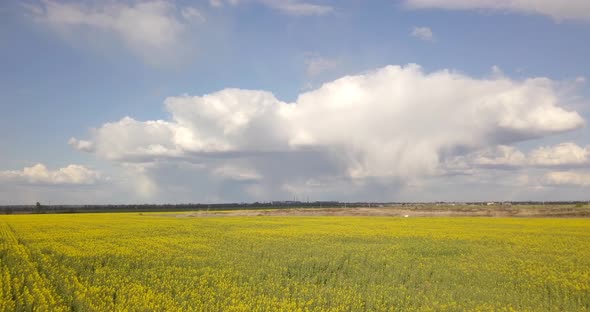 Aerial Survey Of Rapeseed Field At High Altitude With Large Clouds, 4 K