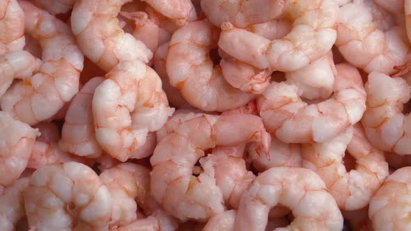 Shrimps Rotating