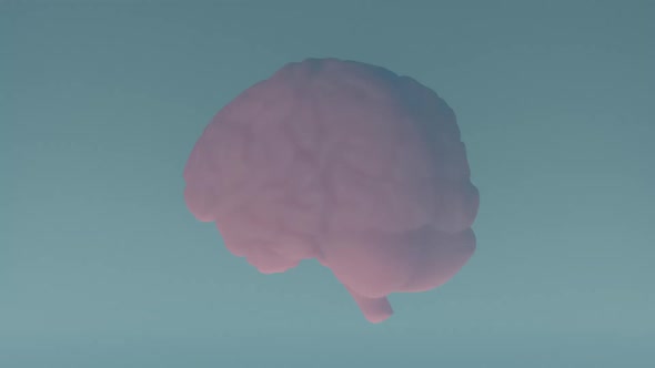 Brain Fog Mental Health Concept