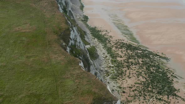 Overhead Aerial View of Cliff Coast in with Green Grass in France, Tilt Down