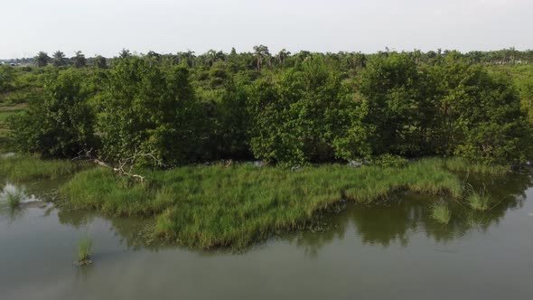 Aerial move over river at wetland